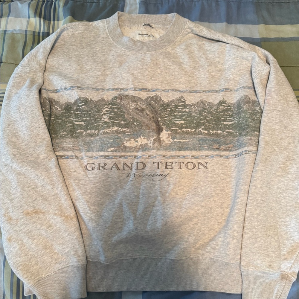 abercrombie & fitch oversized Wyoming crew neck sweater
